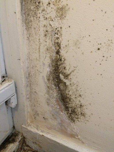Damp issues on wall